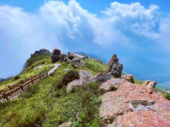 -白草畔自然风景区