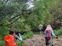 -阳台山自然风景区