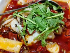 招牌水煮鱼-杭州酒家(庆春路店)