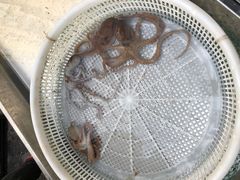 -营口金泰珑悦海景大酒店