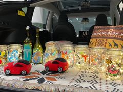 -TESLA 特斯拉(北京南四环中路特斯拉中心)