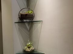 -老陈家擀面皮(平凉路店)