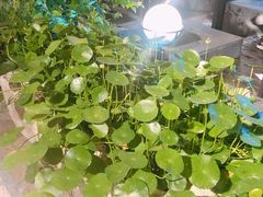 -外婆船宴餐厅·外婆喊你回家吃饭