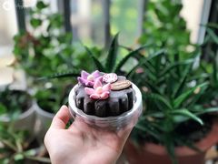 -哈根达斯(宁波和义店)