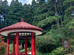 -庐山风景区花径公园