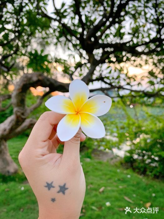 得能湖公园图片