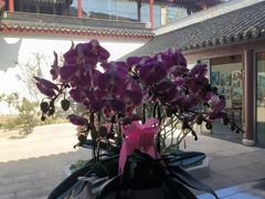 -东山雕花楼