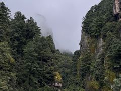 -苍山感通索道