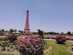 -季高兔窝窝亲子园(上海薰衣草公园店)