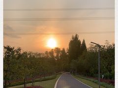 -昆山城市生态森林公园