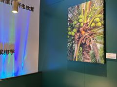 -烹然四季椰子鸡火锅(姚家园万象汇店)
