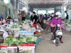 -何庄子阿米玛玛农产品批发市场
