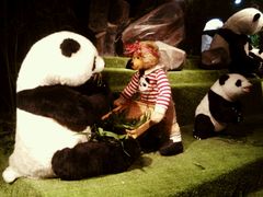 -成都泰迪熊博物馆