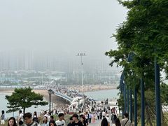 -小麦岛公园