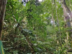 -中国科学院西双版纳热带植物园