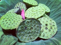 -鱼食饭稻·苏浙土菜17年老馆子(平江路店)