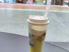 多肉玫珑瓜-喜茶(北京五棵松华熙店)