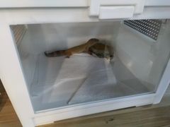 -宠物世家(仲盛世界商城店)