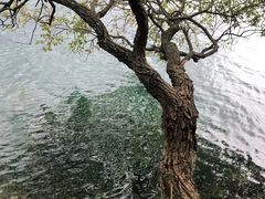 -抚仙湖禄充风景区