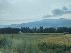 -伊犁河景区