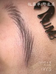 -宛央半永久·美学研究所