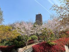-牛首山文化旅游区