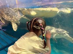 -烟台海昌鲸鲨海洋公园