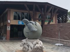 -广东惠东海龟国家级自然保护区