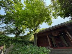 -惠山古镇·寄畅园