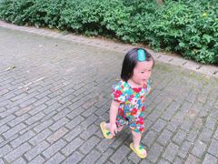 -苏州河梦清园环保主题公园