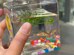 -星海广场(地铁站)