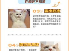 -唐小姐の猫狗洗护·购宠旗舰店(周浦万达店)