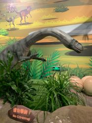 -北京科学中心儿童乐园