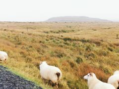 -Pakkhús Restaurant