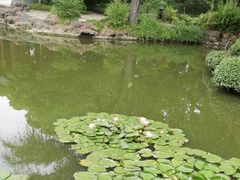 -秋霞圃