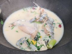 -鲜潭蒸汽石锅鱼(五道口购物中心店)