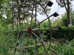 -合肥滨湖国家森林公园