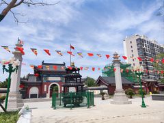 -天津市峰山药王古寺
