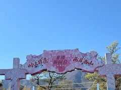 -北京凤凰岭