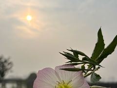 -三垟湿地