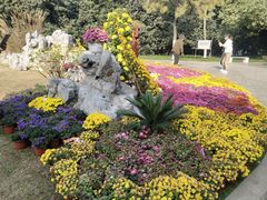 -菊花台公园