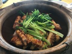 砂锅鱼腩煲-焯明脆肉鲩世家(金沙洲店)