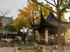 -丽市酒店(苏州平江观前街店)