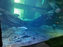 -华夏文旅海洋公园