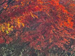 -南京市江宁方山