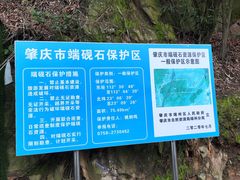 -羚羊峡古栈道森林公园