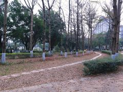 -飞来湖湿地公园