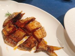 -老吉堂上海本帮菜(工体店)