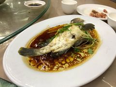 -哈味食店(外伶仃岛店)