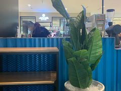 -COFFii&JOY(龙江新城市广场店)